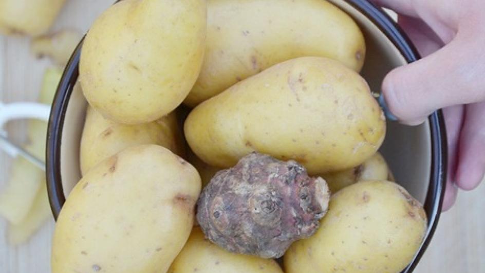 Kremowa kartoflanka z młodych ziemniaków z topinamburem