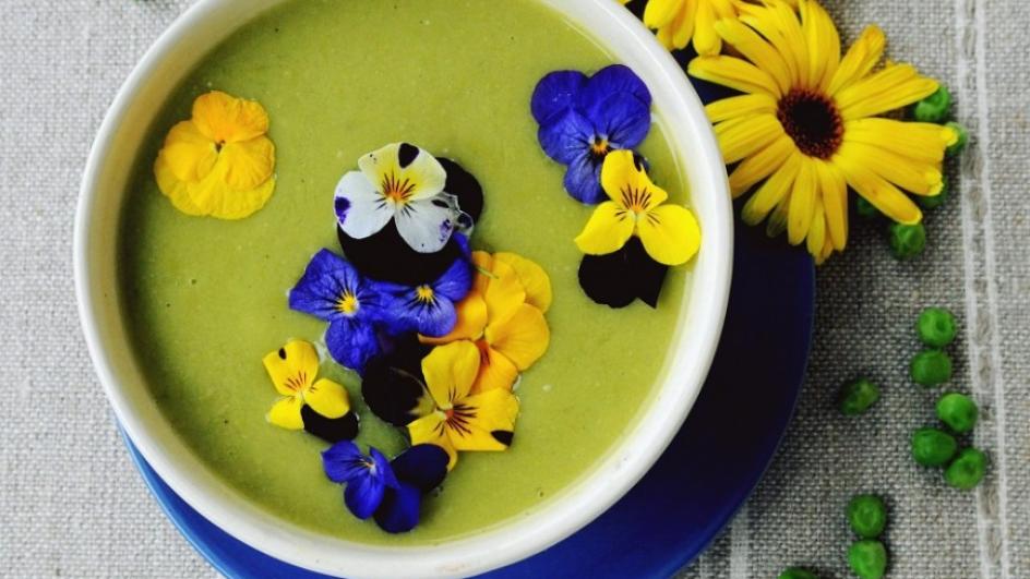 Zupa krem z zielonego groszku i porów z kwiatami jadalnymi