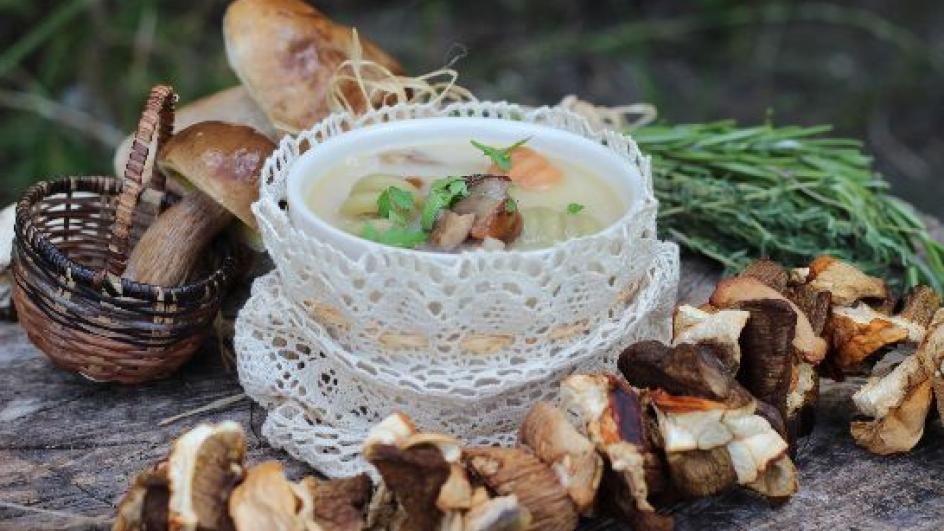 Domowa zupa grzybowa ze świeżych grzybów leśnych