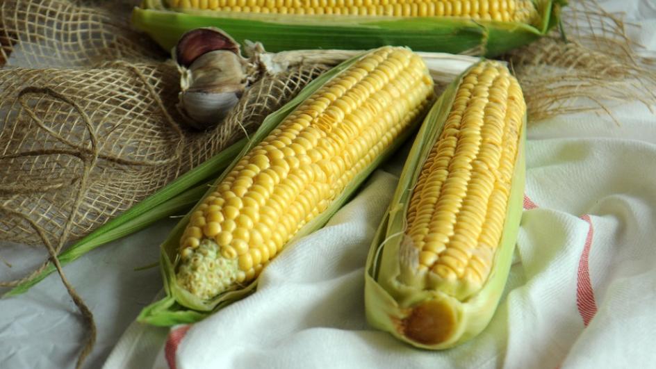 Zupa krem z kukurydzy – świeżej lub z puszki