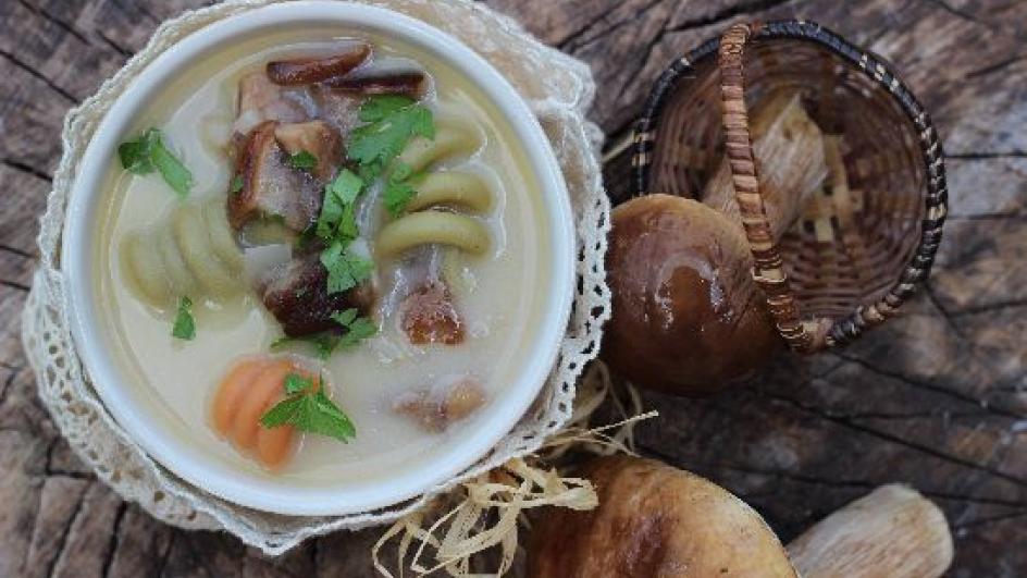 Domowa zupa grzybowa ze świeżych grzybów leśnych