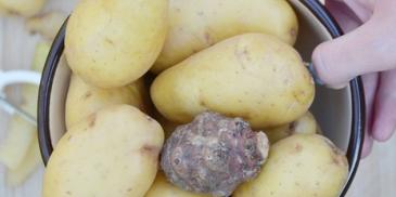 Kremowa kartoflanka z młodych ziemniaków z topinamburem