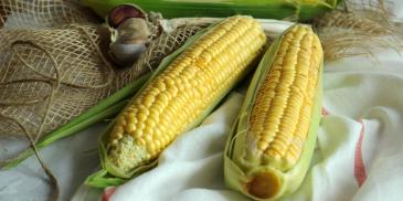 Zupa krem z kukurydzy – świeżej lub z puszki